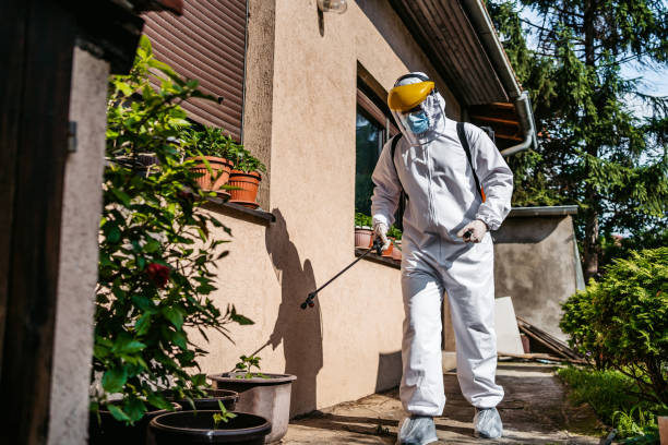 Best Bed Bug Extermination  in Holiday Valley, OH