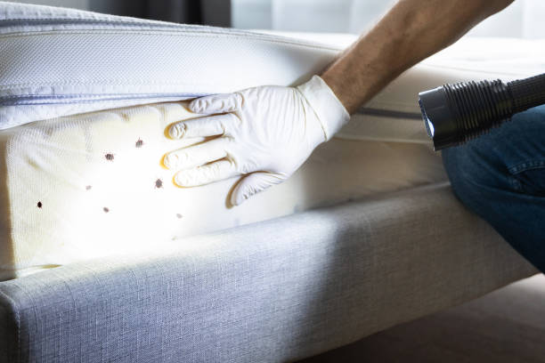 Best Best Pest Control Companies  in Holiday Valley, OH