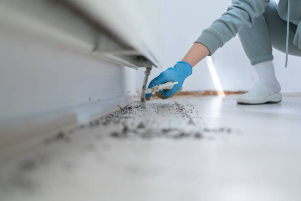 Pest Control Cost in Holiday Valley, OH